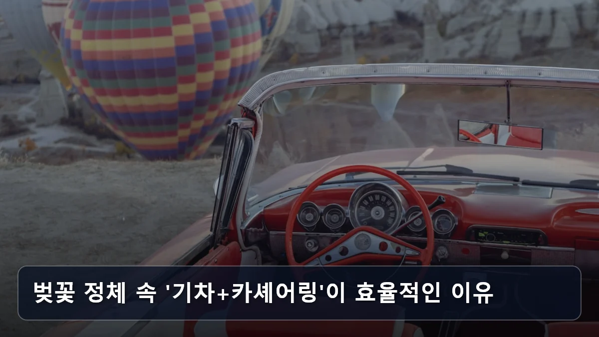 벚꽃 정체 속 '기차+카셰어링'이 효율적인 이유 관련 이미지