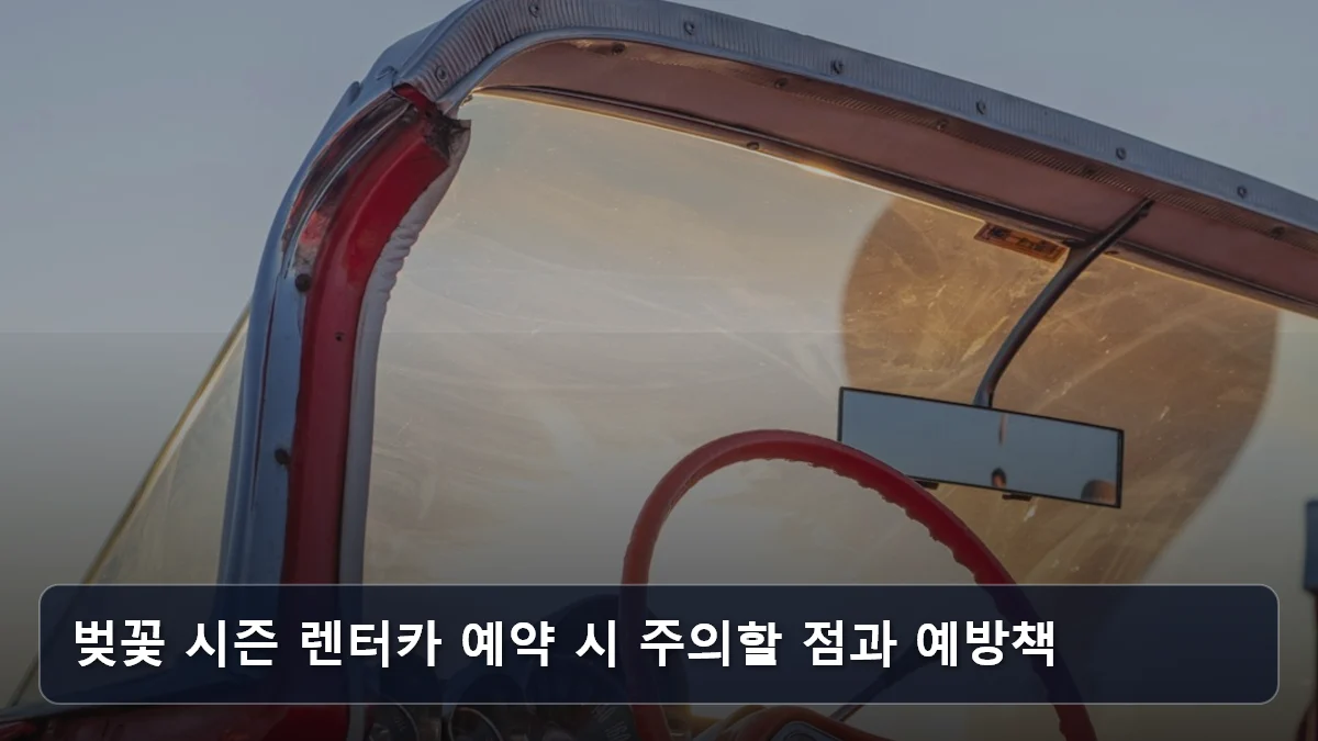 벚꽃 시즌 렌터카 예약 시 주의할 점과 예방책 관련 이미지