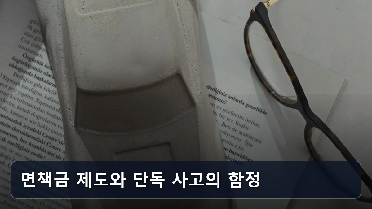 면책금 제도와 단독 사고의 함정 관련 이미지