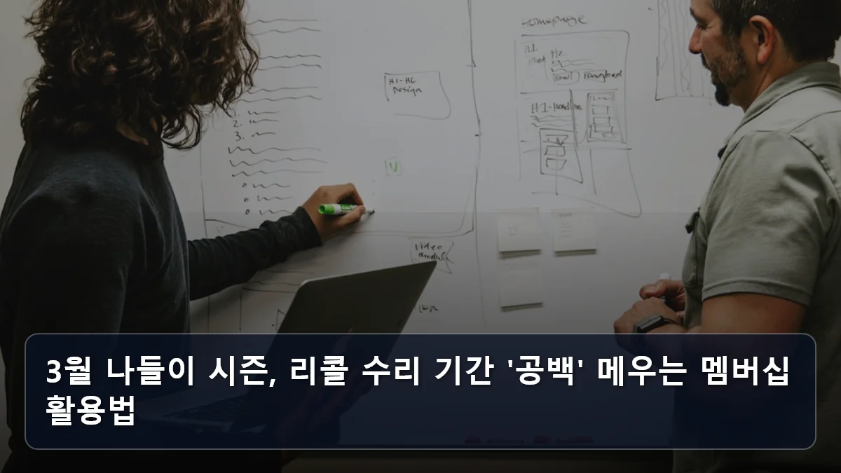 3월 나들이 시즌, 리콜 수리 기간 '공백' 메우는 멤버십 활용법 관련 이미지