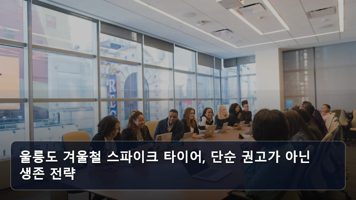 울릉도 겨울철 스파이크 타이어, 단순 권고가 아닌 생존 전략 관련 이미지