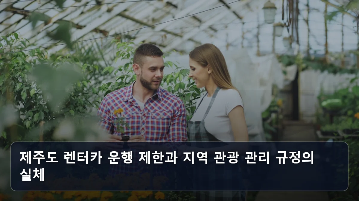 제주도 렌터카 운행 제한과 지역 관광 관리 규정의 실체 관련 이미지