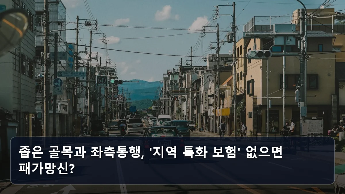 좁은 골목과 좌측통행, '지역 특화 보험' 없으면 패가망신? 관련 이미지