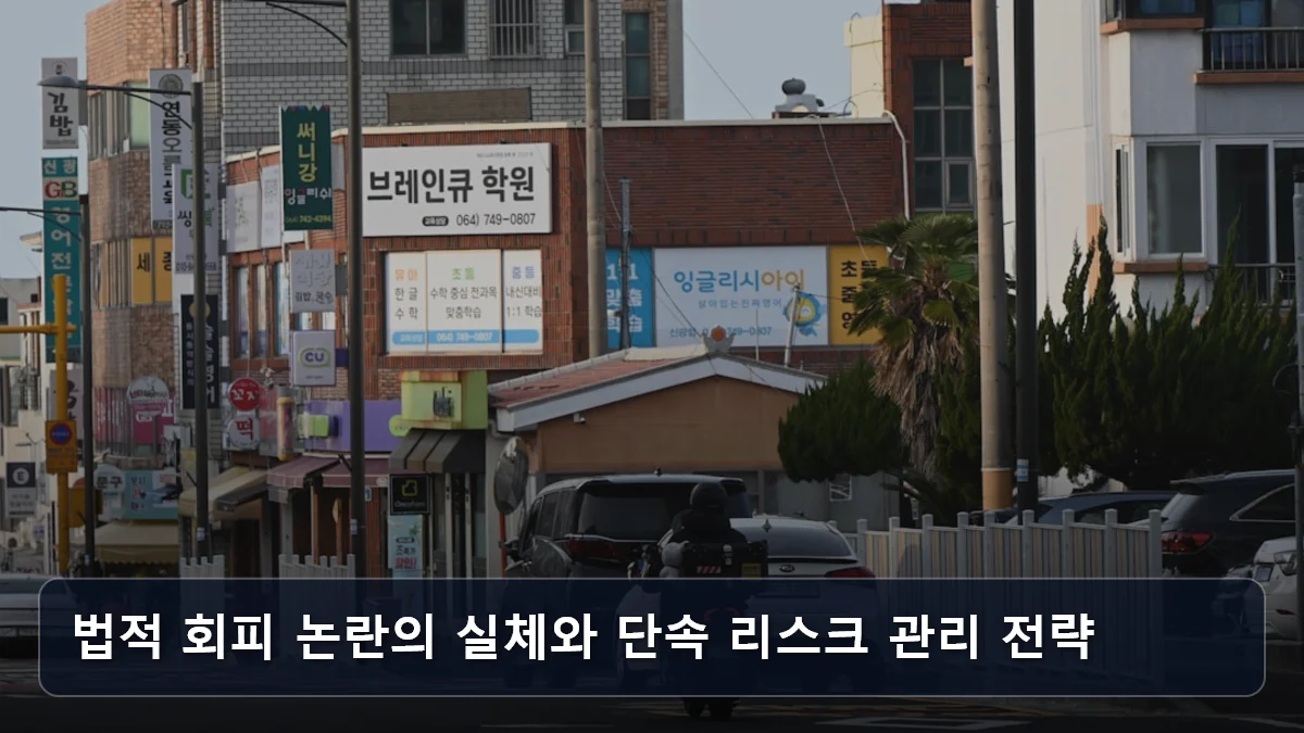 법적 회피 논란의 실체와 단속 리스크 관리 전략 관련 이미지