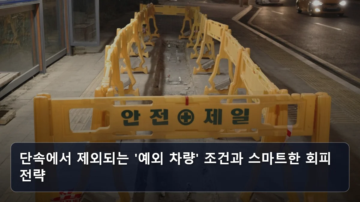 단속에서 제외되는 '예외 차량' 조건과 스마트한 회피 전략 관련 이미지