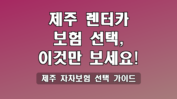 제주 자차보험 선택 가이드